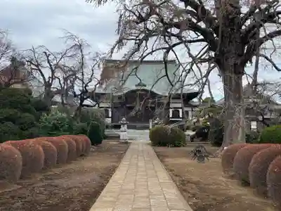 圓藏院(埼玉県)