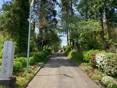 神宮寺(千葉県)