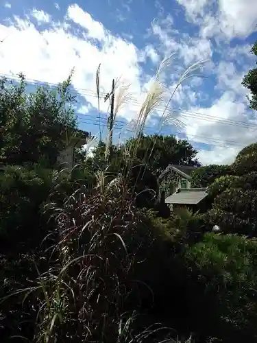 葦桁山　永昌院の庭園