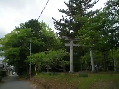 森市神社（村屋坐彌冨都比賣神社摂社）の鳥居