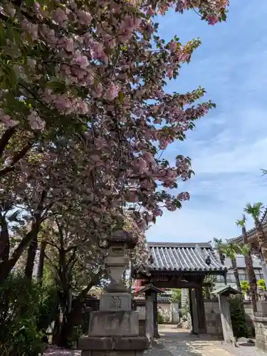 荘厳寺(東京都)