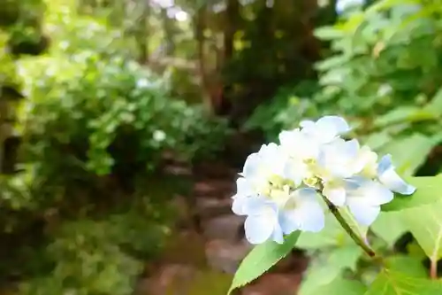 矢田寺の自然