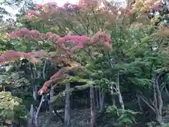 毛越寺(岩手県)