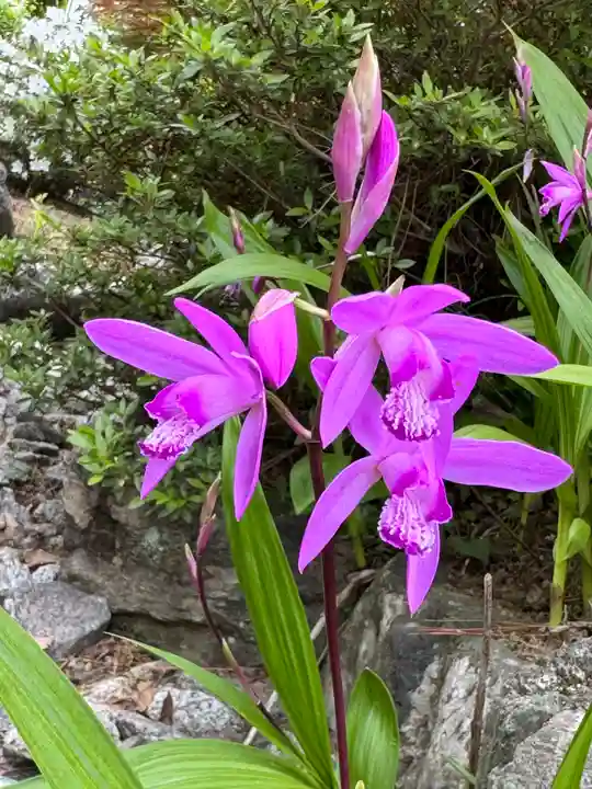 開成山大神宮(福島県)