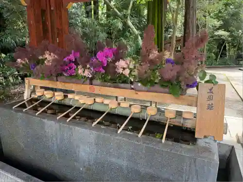 武蔵一宮氷川神社の手水舎