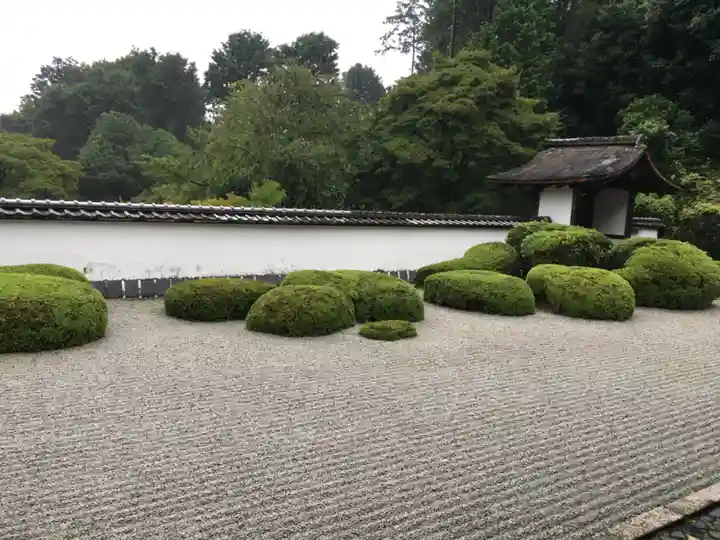 正伝護国禅寺(正伝寺・正傳寺)(京都府)