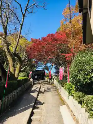 𠮷水神社（吉水神社）(奈良県)
