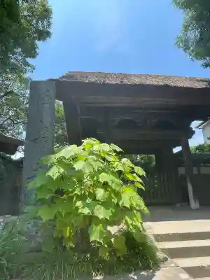 極楽寺（霊鷲山感應院極楽律寺）の山門・神門