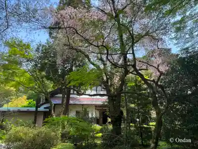 龍潭寺(滋賀県)