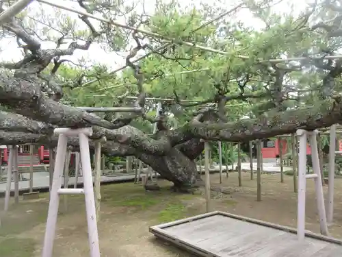 善養寺(東京都)