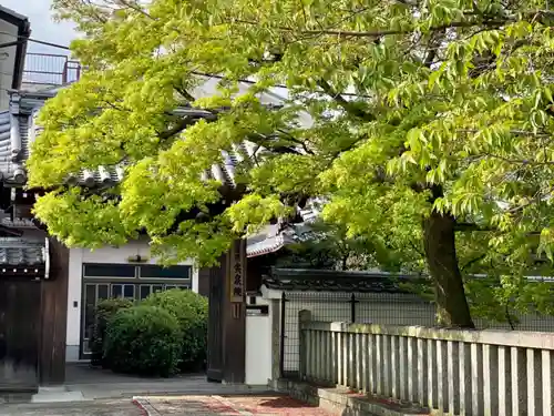 實泉院（実泉院）の山門