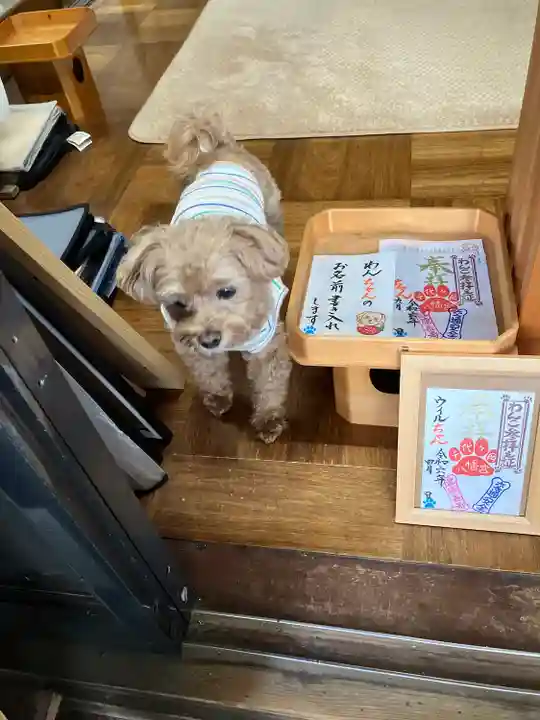 千代ケ岡八幡宮(栃木県)