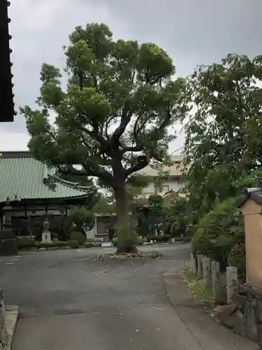 宗隆寺のその他建物