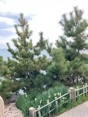 伊和都比売神社(兵庫県)