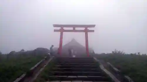 箱根元宮の鳥居