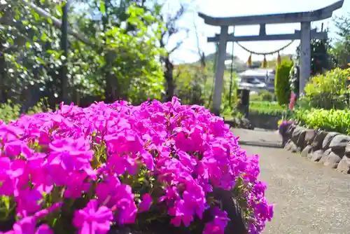 横浜御嶽神社(神奈川県)