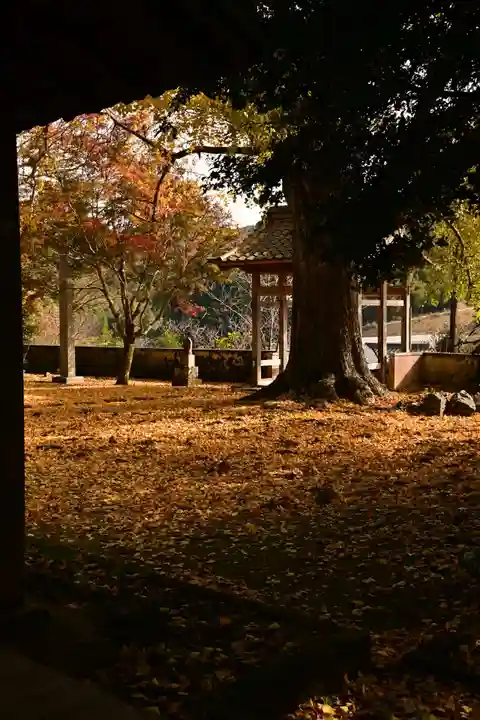 禅蔵寺(愛媛県)