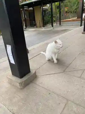 愛宕神社(東京都)