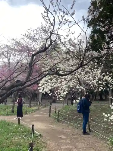 北海道神宮の庭園