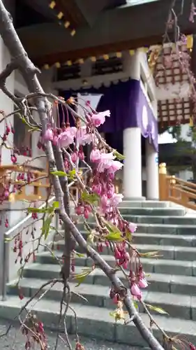 烈々布神社の自然