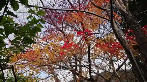 長谷寺(静岡県)