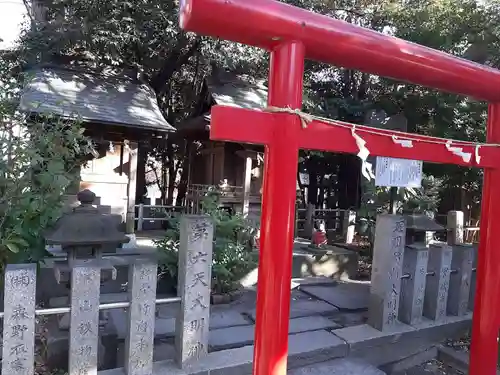 稲毛神社の鳥居