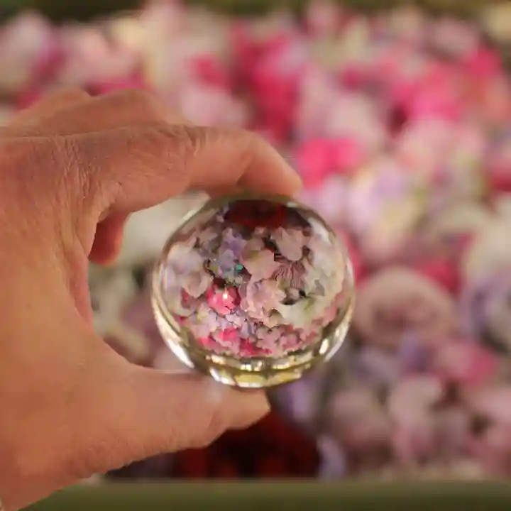 上野総社神社(群馬県)