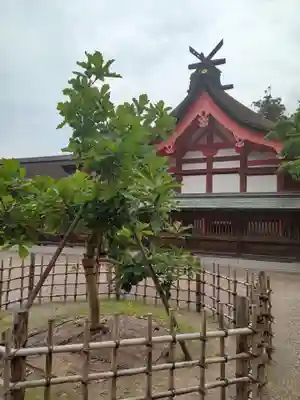 宗像大社(福岡県)