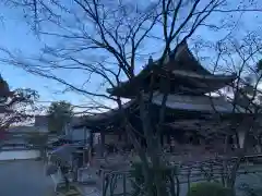 今熊野観音寺の建物その他