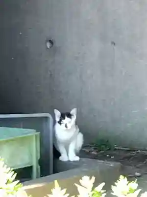 五郎兵衛稲荷神社(茨城県)