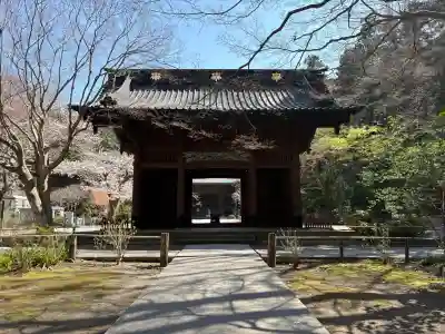 妙本寺の{uncategorized: "未分類", other: "その他", undefined: "問題あり", building: "その他建物", grave: "お墓", sacred_gate: "鳥居", guardian: "狛犬", statue: "像", buddha: "仏像", history: "歴史", nature: "自然", garden: "庭園", animal: "動物", pagoda: "塔", temizu: "手水舎", mountain_gate: "山門・神門", sanctuary: "本殿・本堂", subordinate: "末社・摂社", art: "芸術", scenery: "景色", jizo: "地蔵", ema: "絵馬", goshuin: "御朱印", omikuji: "おみくじ", items: "授与品その他", amulet: "お守り", goshuincho: "御朱印帳", eats: "食事", festival: "お祭り", votive_dance: "神楽", shichigosan: "七五三参", wedding: "結婚式", experience: "体験その他", initially: "初詣", around: "周辺", anti_infection: "感染症対策"}