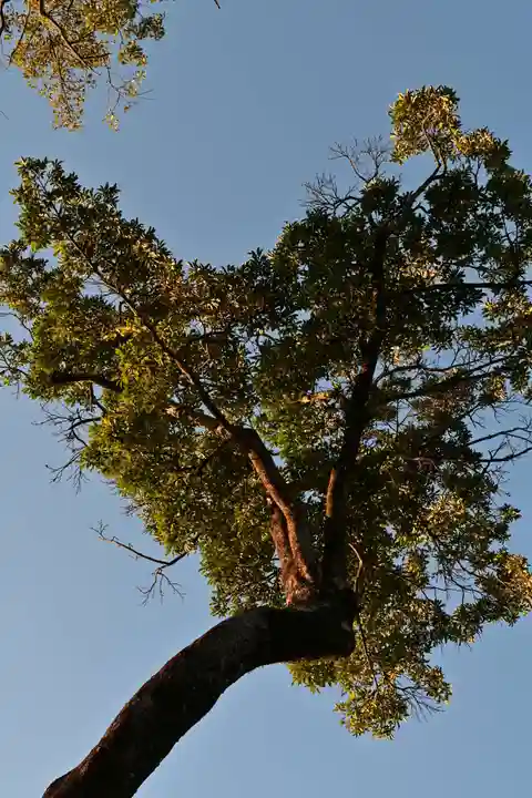 福良天満宮(大分県)