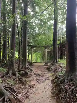 三社神社(千葉県)