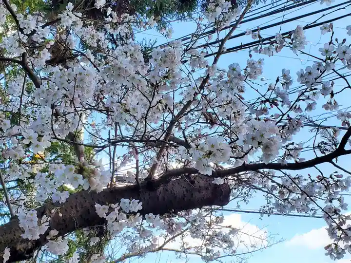 天が岡若宮神社の自然