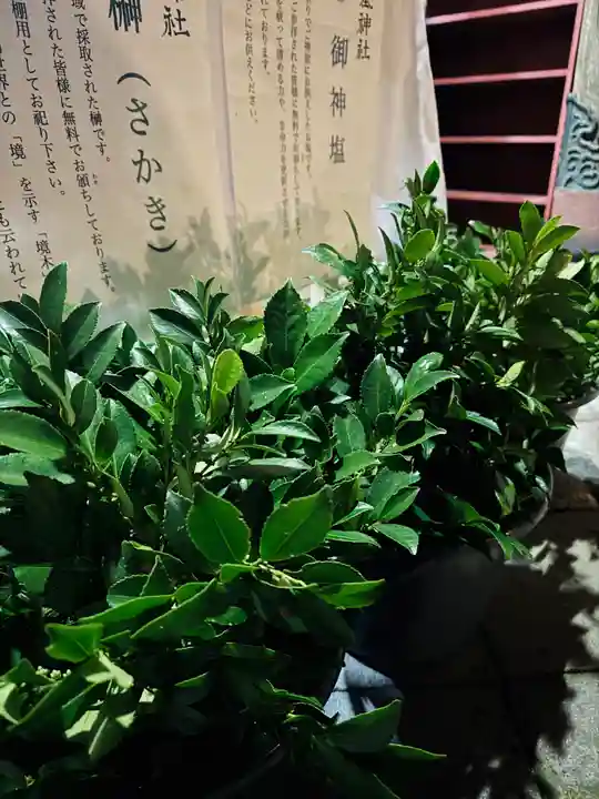 守りの神 藤基神社(新潟県)