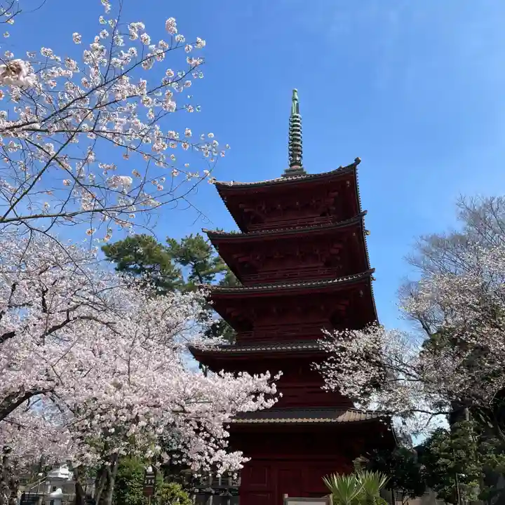 法華経寺のその他建物