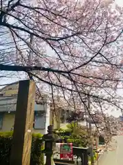 道明寺天満宮の自然