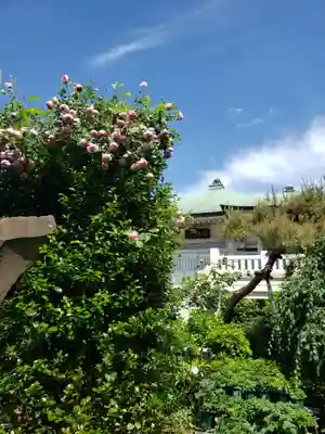 薬師寺　南蔵院 (東京都)