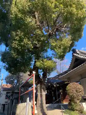 鶴見神社(大阪府)
