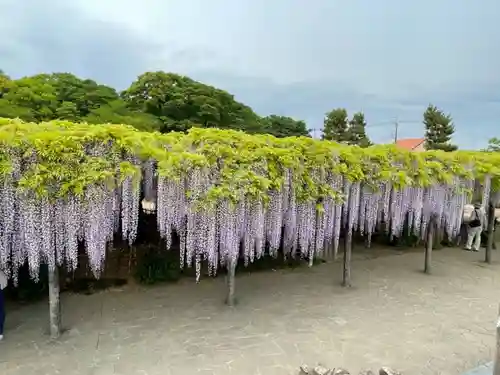 玉敷神社の庭園