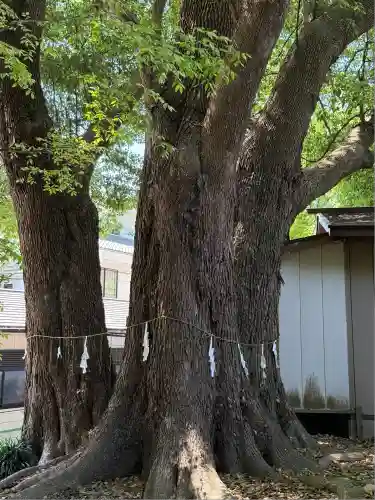 弘道館鹿島神社(茨城県)