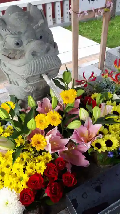 新川皇大神社の手水舎
