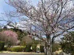 大生郷天満宮の自然