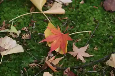 國祖神社の本殿・本堂