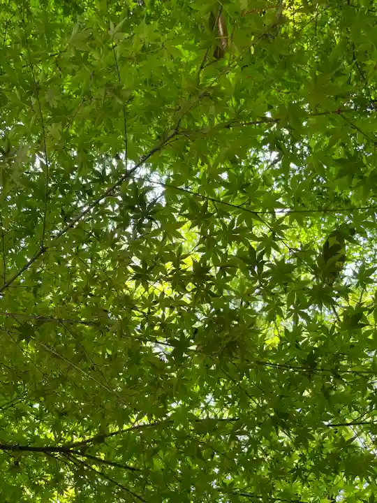 本土寺(千葉県)