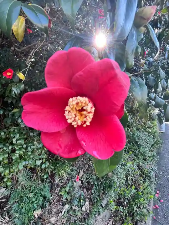東運寺の{uncategorized: "未分類", other: "その他", undefined: "問題あり", building: "その他建物", grave: "お墓", sacred_gate: "鳥居", guardian: "狛犬", statue: "像", buddha: "仏像", history: "歴史", nature: "自然", garden: "庭園", animal: "動物", pagoda: "塔", temizu: "手水舎", mountain_gate: "山門・神門", sanctuary: "本殿・本堂", subordinate: "末社・摂社", art: "芸術", scenery: "景色", jizo: "地蔵", ema: "絵馬", goshuin: "御朱印", omikuji: "おみくじ", items: "授与品その他", amulet: "お守り", goshuincho: "御朱印帳", eats: "食事", festival: "お祭り", votive_dance: "神楽", shichigosan: "七五三参", wedding: "結婚式", experience: "体験その他", initially: "初詣", around: "周辺", anti_infection: "感染症対策"}
