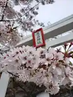 北山鹿島神社の鳥居