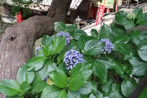 金剛宝寺（紀三井寺）(和歌山県)