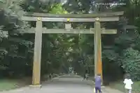 明治神宮(東京都)