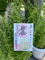 妙蓮寺の御朱印